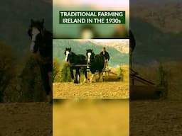 Traditional Farming in 1930s Ireland - Corn Fiddle and Rolling with Horses