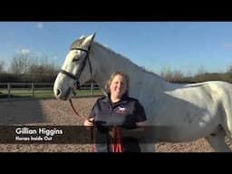 How to Back Up Your Horse Well with Gillian Higgins
