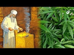 Marijuana In The Bible: Kanehbosm, Sweet Cane & The Holy Anointing Oil!