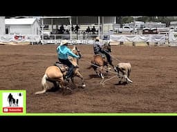 14.5 Team Roping 1st Go Part 2 - 2024 Spicer Gripp Memorial Roping