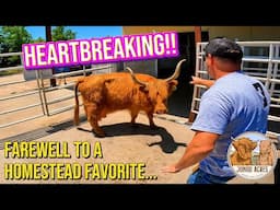 Emotional Heartbreak: Our Homestead will Never be the Same