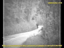 RALLY del 1° Maggio 1980 (cronoscalata automobilistica ROCCA DELLE CAMMINATE) Predappio FO