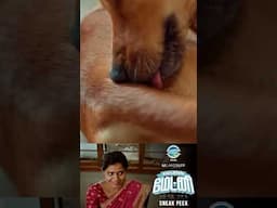 Madras Matinee -Official Sneak Peek 02 |KaaliVenkat | RoshniHaripriyan |KarthikeyanMani