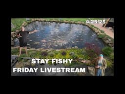 Stay Fishy Friday livestream  4/25/25