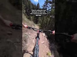 What Would You Rate A Trail Like This? #mtb #biking