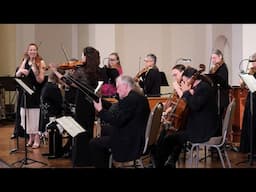 Vivaldi - Concerto for Two Violins in A Minor RV 522, I. Allegro. Lodge & Lee, Voices of Music 8K