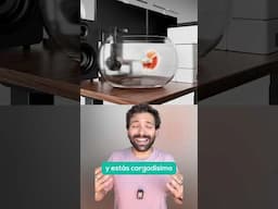 Esta mesa elevable y esta silla ergonómica te cambiarán la vida 💆🏻 Flexispot E7 Pro y BS12 Pro