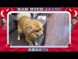 After the long year | Febi and Marsh take a bath | Pet Fun Vlog