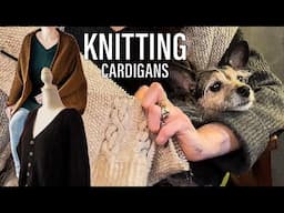 Knitting two cardigans & spinning more yarn! 🧶
