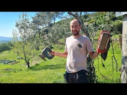Will this work? Building a rocking chair from rustic chestnut wood