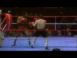 WOW!! WHAT A KNOCKOUT | Tom Collins vs John Moody, Full HD Highlights