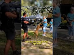 Explaining thresholds in dog training #dogs