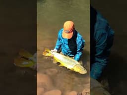 "What an amazing fish" 🇧🇴🎣