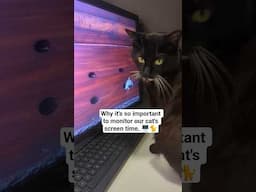 Our cat watched YouTube & this happened 🫣 #shorts #catvideo