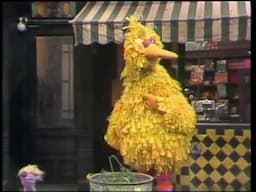 Classic Sesame Street - Big Bird Sits In The Rain 1973