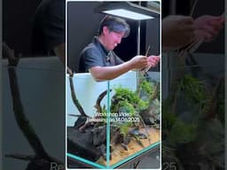 Best Aquascaping Workshop of 2025!