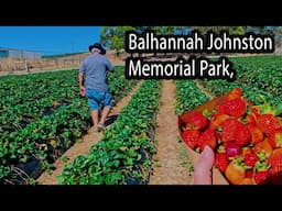 Balhannah, Johnston Memorial Park, Beerenberg Farm, Grey Nomads Caravan Australia, EP-177