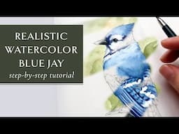 Let's Paint our Blue Jay Drawing! Step-by-Step Watercolor Tutorial