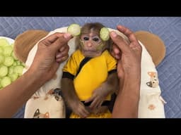 Mom and monkey Abi beautify together by applying cucumber mask