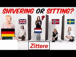 Can They Follow Direction In German   l UK, Netherlands, Norway, Sweden