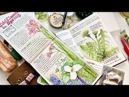 3 Easy & Beautiful Journal Ideas/Nature Journal