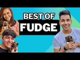 BEST MOMENTS OF FUDGE FROM RIMORAV VLOGS