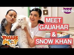 Meet Gauahar Khan and SNOW! || Paws & Play S02 @JaniceSequeira85