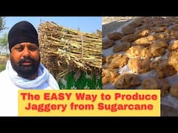 The EXPERT Guide to Making Jaggery from Sugarcane