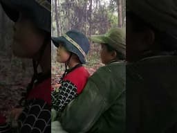 #gadisdayak #nature #youtubeshorts #dayak