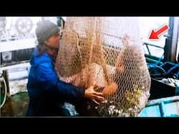 Fisherman Pulls in Net, Turns Pale After Seeing What’s Inside