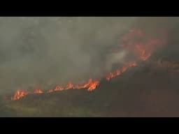 Brush fire forces evacuations in Fallbrook | NBC 7 San Diego