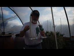 Adding Another Automatic Valve To The Greenhouse Irrigation