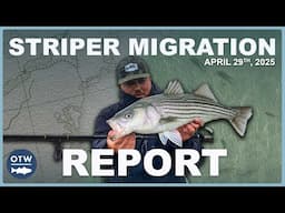 Striper Migration report | April 29th 2025