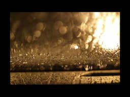 Golden Night Rain
