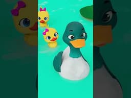 How Many Ducks Are There?! 🦆 #shorts #nurseryrhymes