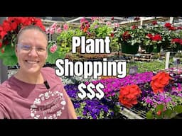 🪴 Plant Shopping at North Haven Gardens | Perennial Picks & Nursery Tour 🌿🌸