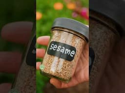 Yes, You Can Grow Sesame!