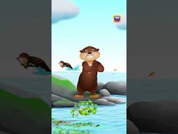 Sea Otter Song - #Shorts #ChuChuTV #NurseryRhymes #KidsSongs #AnimalSongs