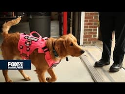 Support dog helps first responders | FOX61 Student News