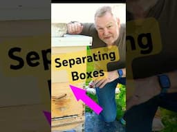 Beekeeping: How To Separate Bee Hive Boxes