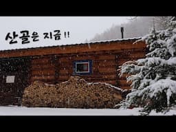 마지막 눈,,, 초봄의 산골일상~!!