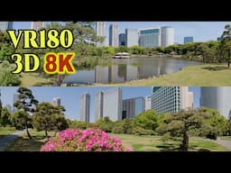 [ 8K 3D VR180 ] 新緑の浜離宮恩賜庭園 Hamarikyu garden with abundant greenery