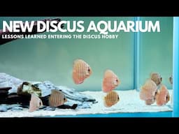 New Discus Aquarium - Lessons Learned Entering the Hobby