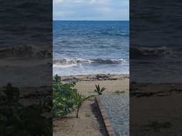 sounds of SANTO DOMINGO, DOMINICAN REPUBLIC #waves #nature #travel #beach #ocean