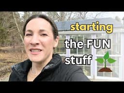planting some FUN summer crops / seedling & greenhouse update!