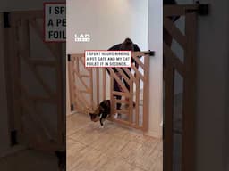 Hopefully they have a big dog 🤣 (🎥: ViralHog)