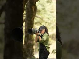 Noons in the jungle # #aarzookhurana #wildlife #wild #shorts #viral