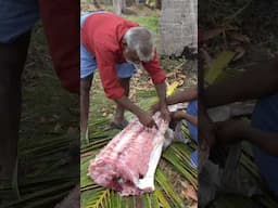 Big Fish Cooking 🐬 60 KG Kola Fish Fry #shortvideo
