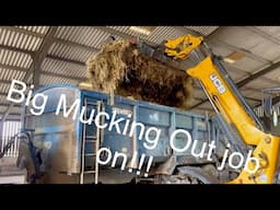 Video Diary on the Farm No.164