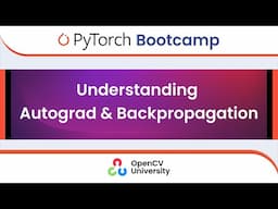 Pytorch Bootcamp for Beginners - 2 | Autograd and Backpropagation in Neural Networks